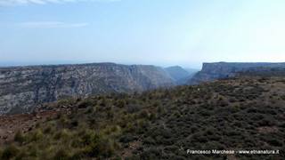 stello marchesa di Cassibile-10-02-2015 19-55-44